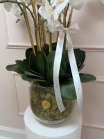 Pure Elegance Silk Orchid Garden - Image 2