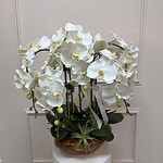 Silk Orchid Arrangement (Wooden Vase)