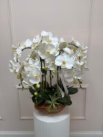 Silk Orchid Arrangement (Wooden Vase)