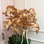 Warm Aura Orchid Arrangement