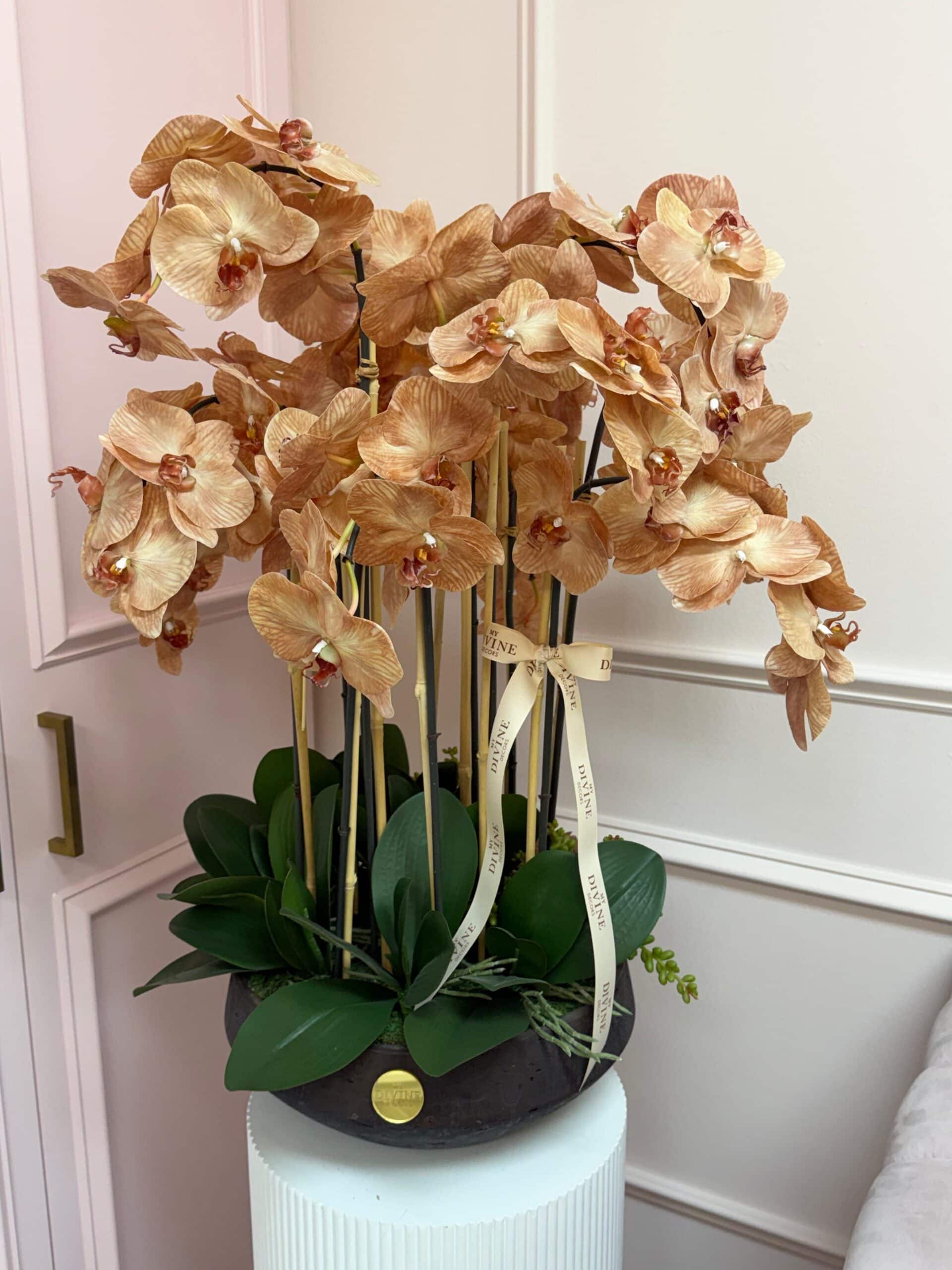 warm-aura-orchid-arrangement-1 Warm Aura Orchid Arrangement - Image 1