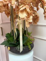 Warm Aura Orchid Arrangement - Image 2