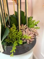 Warm Aura Orchid Arrangement - Image 3