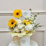 Designer’s Choice Medium Signature Box