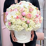 Dream Blooms Round Box