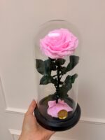 Eternal Pink Preserved Rose Dome - Image 3