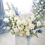 Roma Eleganza Tall Grand Box