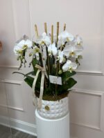 Signature Phalaenopsis Lux arrangement - Image 3