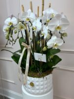 Signature Phalaenopsis Lux arrangement - Image 2