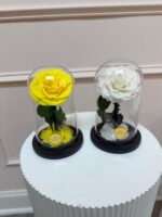 Small Preserved Rose Dome - Image 2