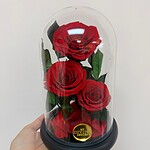 Three-Rose Preserved Dome