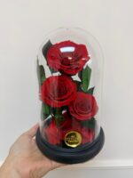 Three-Rose Preserved Dome - Image 3