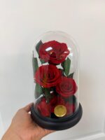 Three-Rose Preserved Dome - Image 2