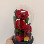 Three-Rose Preserved Dome