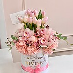 Parisian Tulips