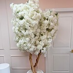 Statement Tree – Wooden Blossom