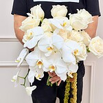 The Orchid Grace Bridal Bouquet & Boutonniere Collection