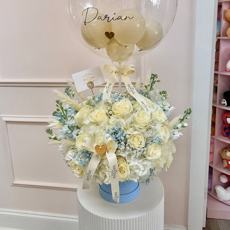 Little prince welcome box