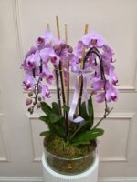 Orchid Couture - Image 2