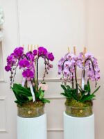 Orchid Couture - Image 3