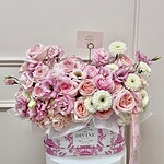 Pinks Victorian