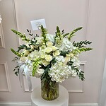 Ivory Garden Elegance
