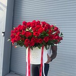 Oversized white box filled with about 100 red roses and greenery