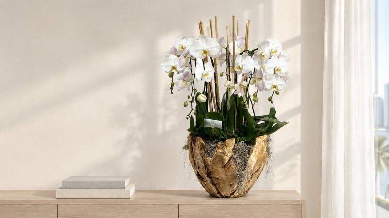 Swan white orchids in an extra-large bronze vase on a long oak console in a Miami penthouse foyer
