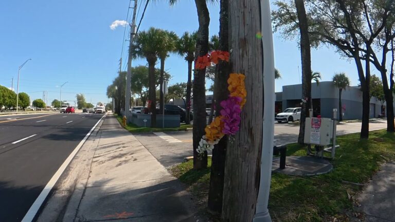 Orchids tied to the trees on NW 58th St lead to the boutique