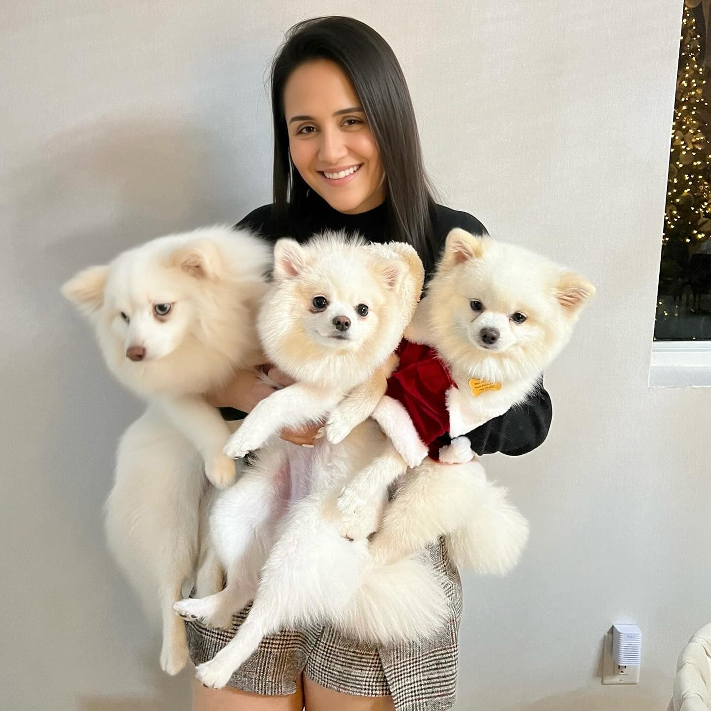 Jessica Nunez holding three of the family Pomeranians at home in Miami