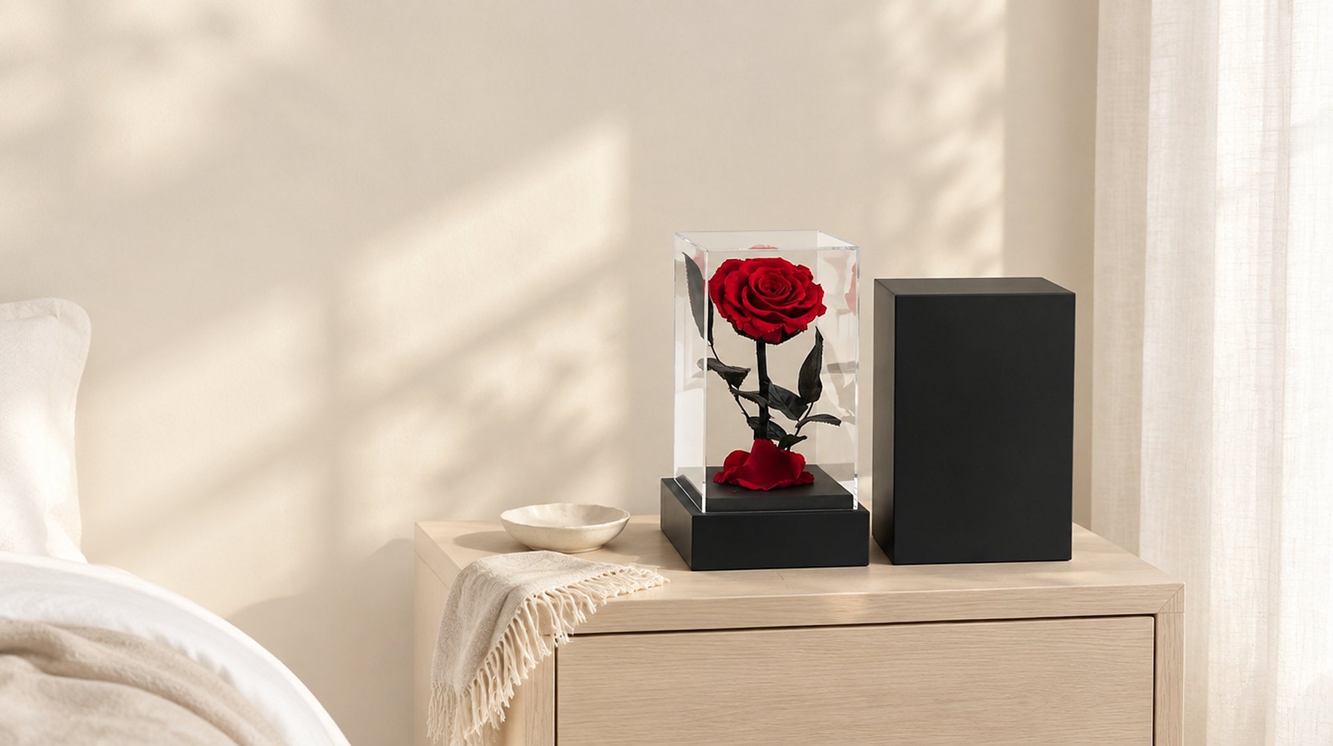 Red preserved rose in an acrylic display case with its black gift box on a nightstand