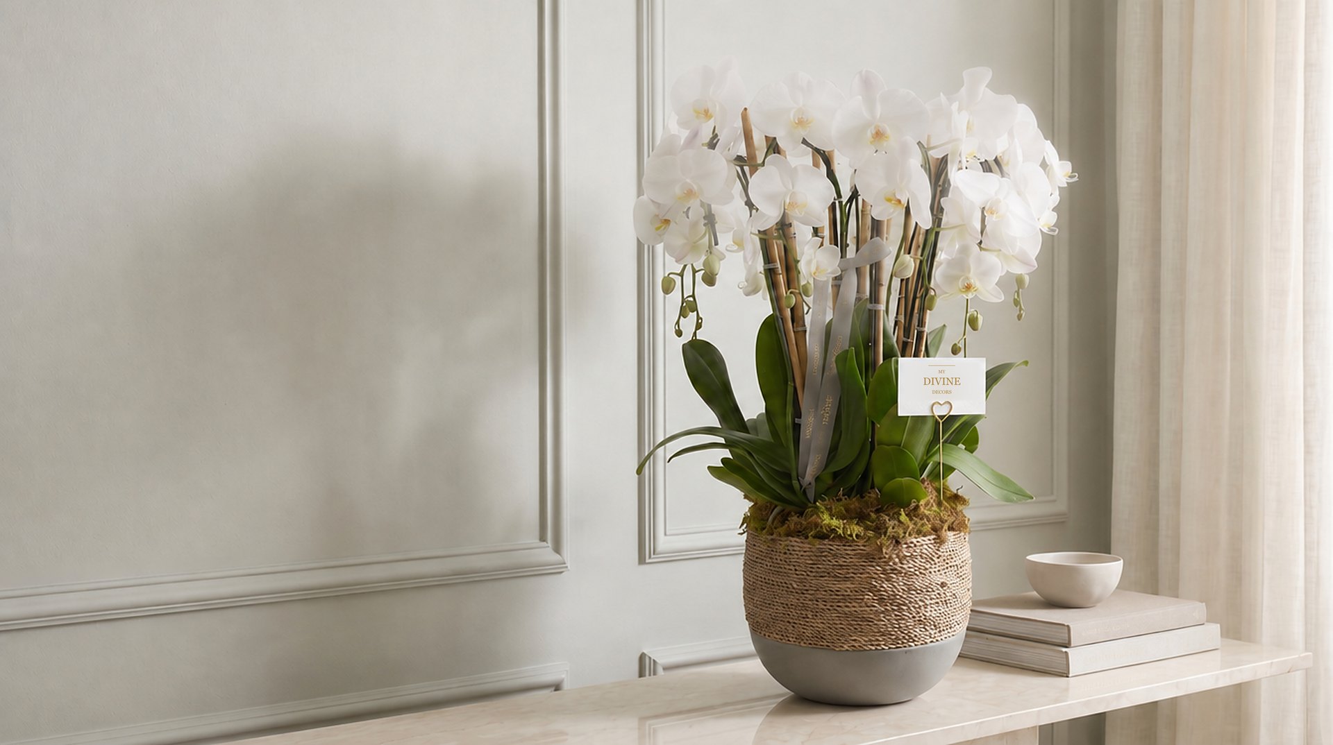 Organic Orchid Planter of seven white phalaenopsis on a cream marble console