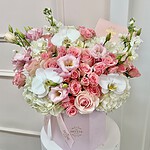 The Arabella hat box