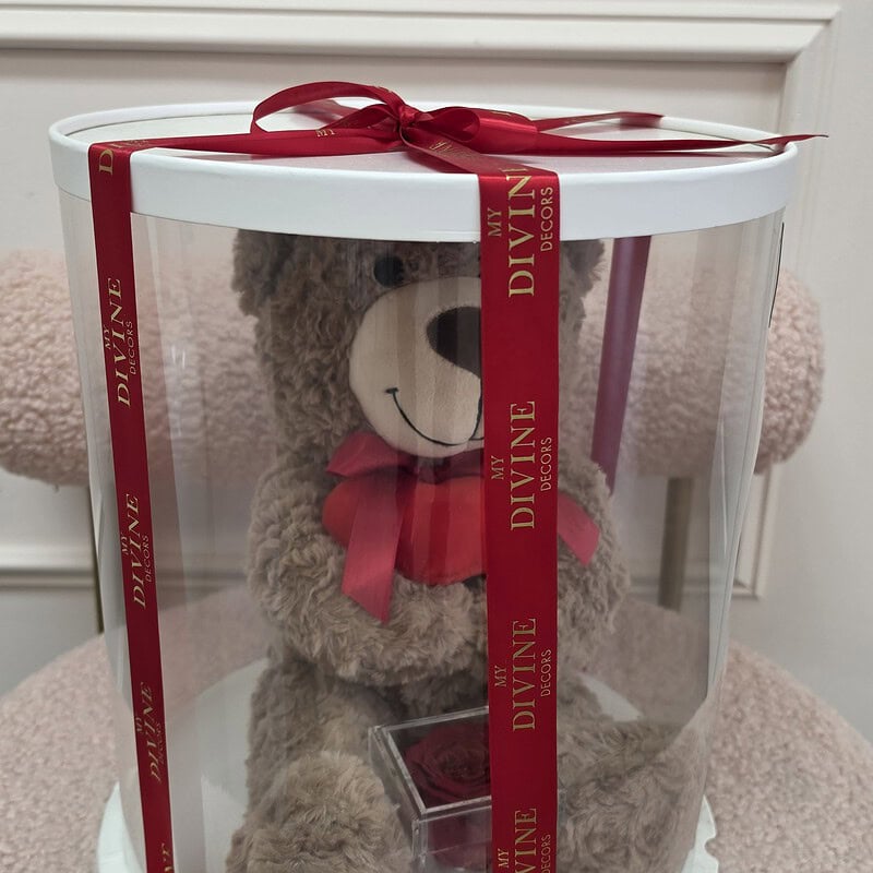 Osito de peluche con corazón y rosa roja preservada en cilindro con cinta roja My Divine Decors
