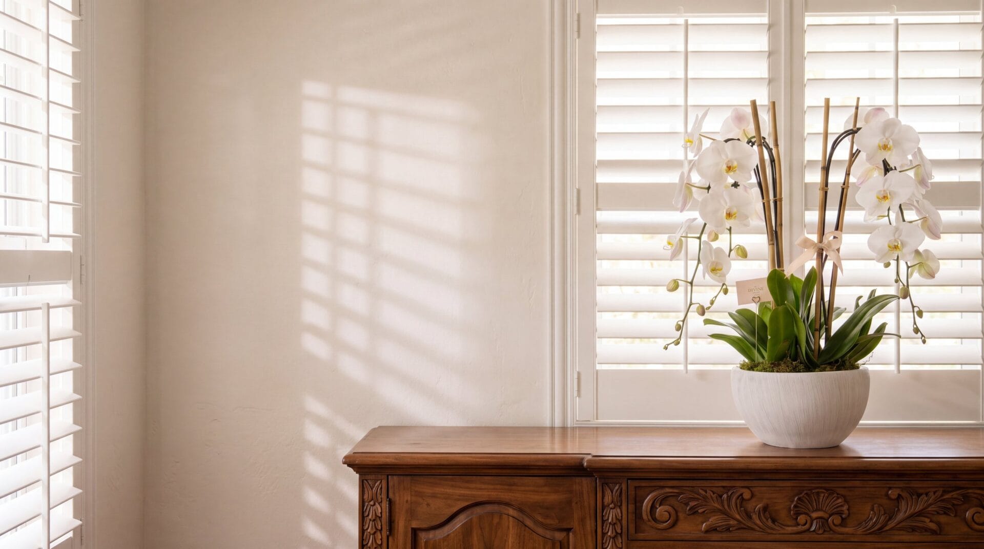 Orquídeas phalaenopsis blancas Swan en un bowl de cerámica blanca sobre un aparador de nogal tallado con luz filtrada por persianas blancas en un comedor de Coral Gables
