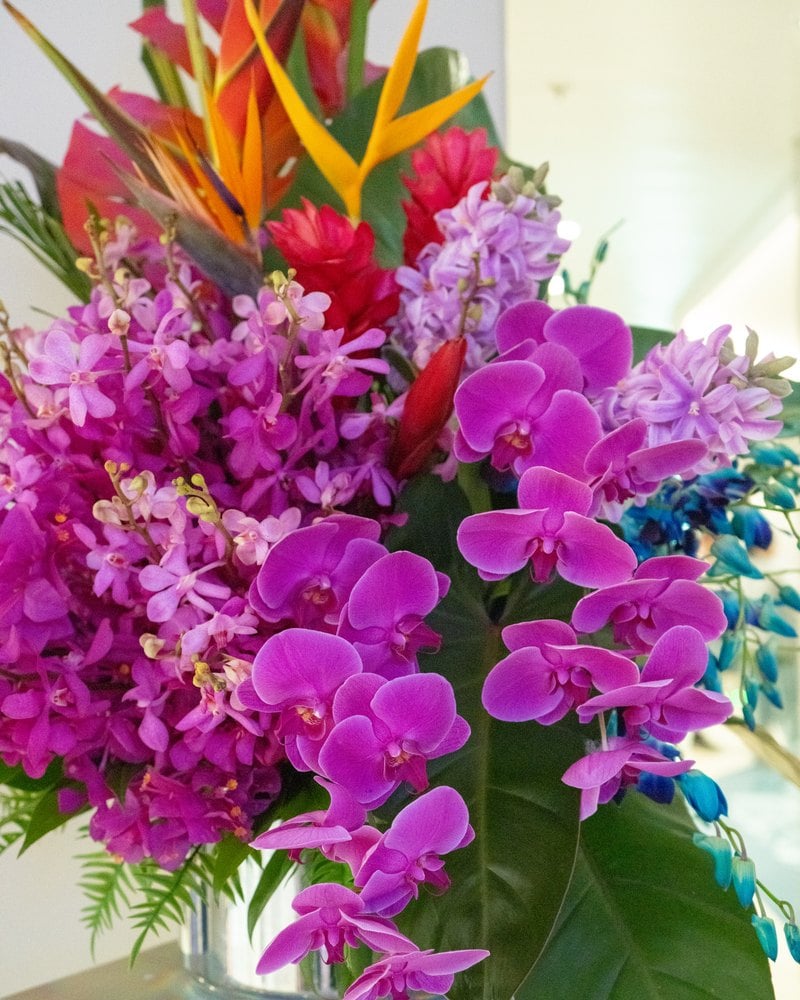 Close up of pink orchids and tropical flowers on Star of the Seas