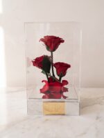Trío Eterno de Rosas Preservadas en Caja Acrílica
