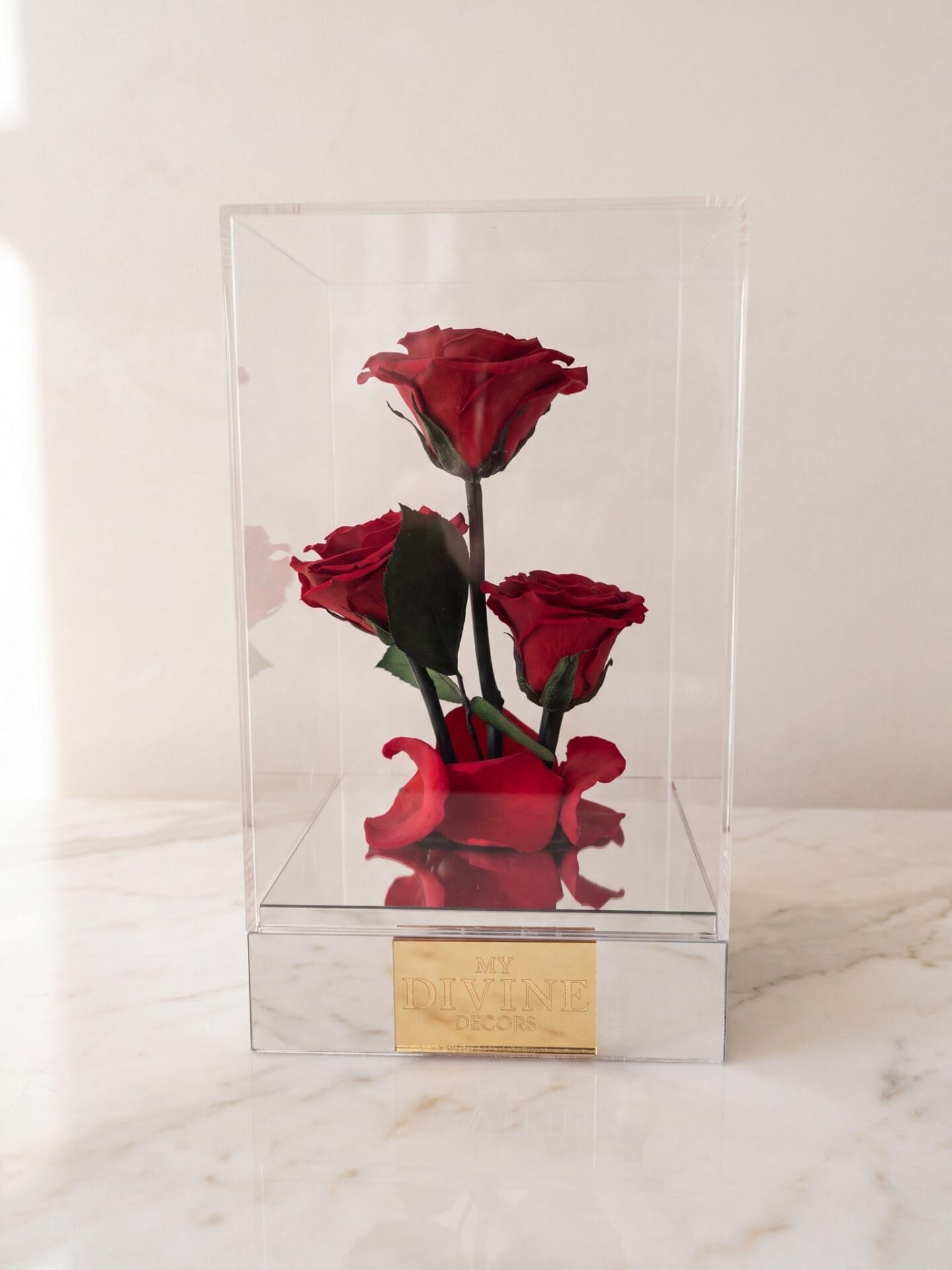 Forever Trio Preserved Roses Acrylic Box Trío Eterno de Rosas Preservadas en Caja Acrílica