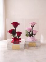 Trío Eterno de Rosas Preservadas en Caja Acrílica - Imagen 2