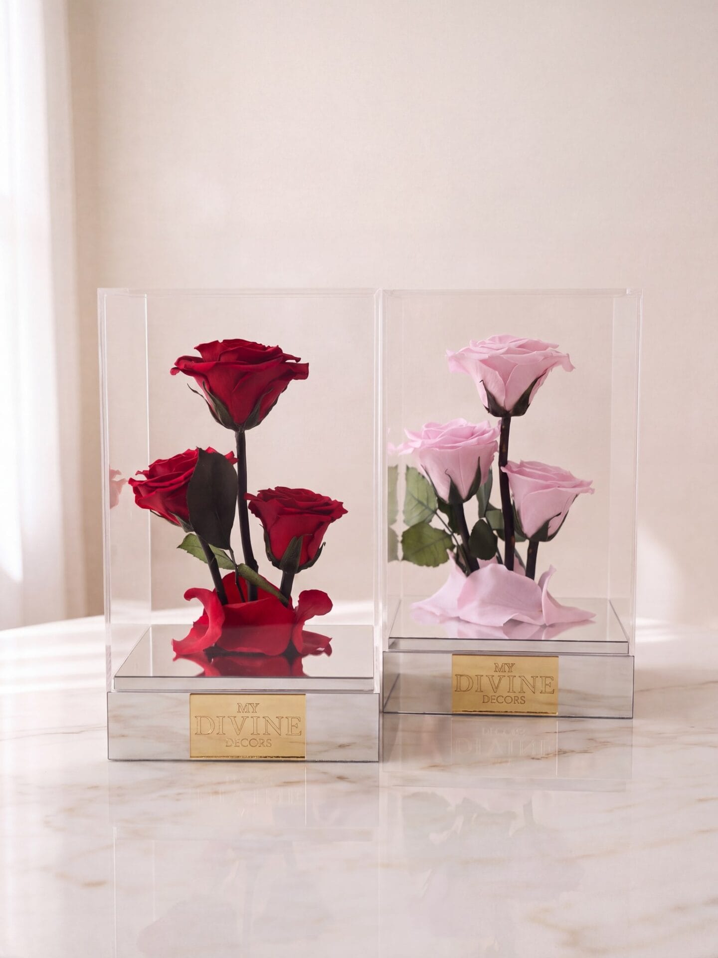 Forever Trio Preserved Roses Acrylic Box Trío Eterno de Rosas Preservadas en Caja Acrílica - Imagen 2