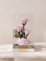 Trío Eterno de Rosas Preservadas en Caja Acrílica - Imagen 3