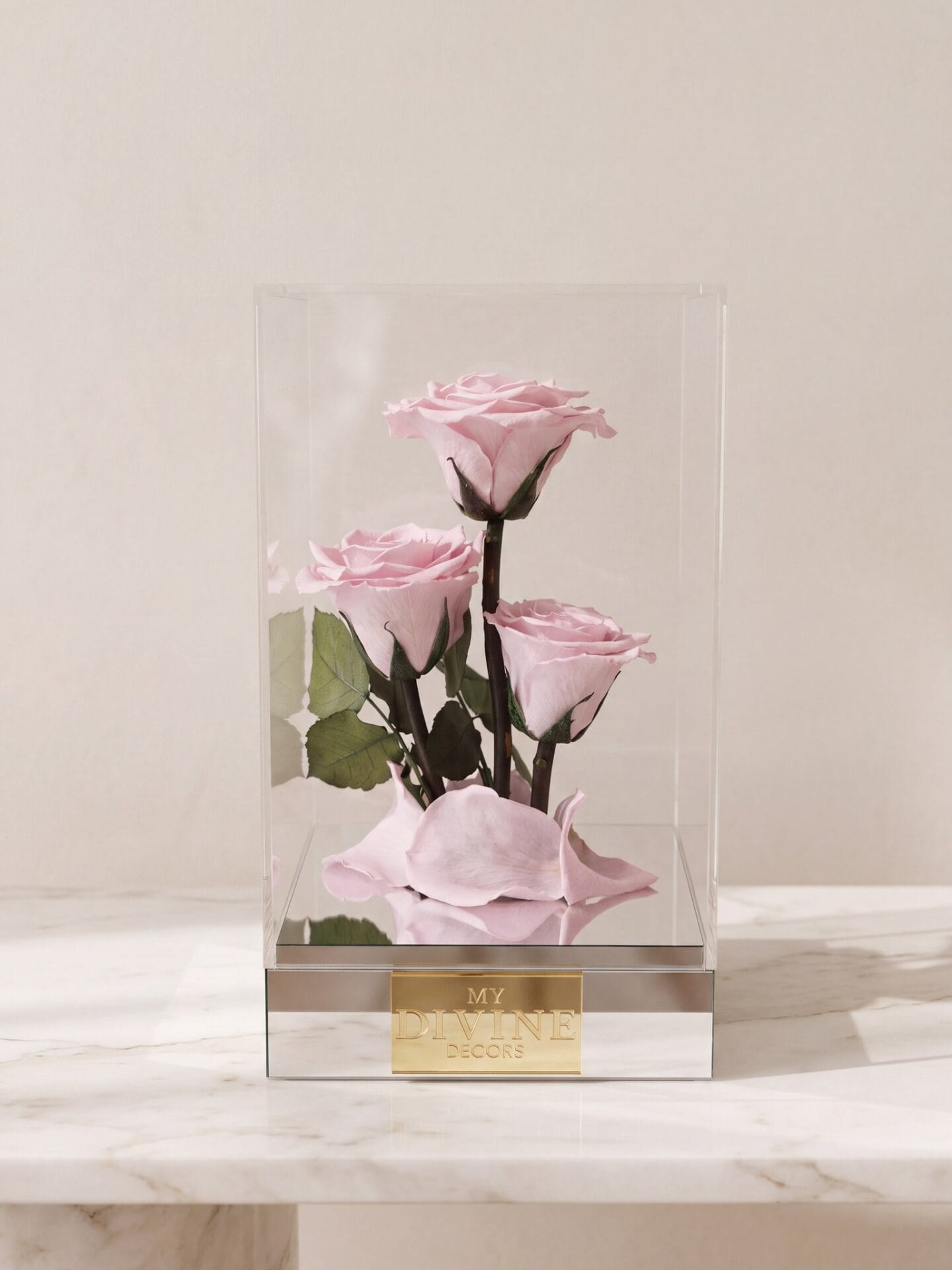 Forever Trio Preserved Roses Acrylic Box Trío Eterno de Rosas Preservadas en Caja Acrílica - Imagen 3