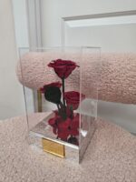 Trío Eterno de Rosas Preservadas en Caja Acrílica - Imagen 5