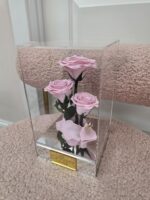 Trío Eterno de Rosas Preservadas en Caja Acrílica - Imagen 6