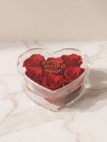 Heart Acrylic Collection - 6 Roses
