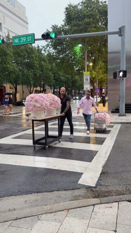 Cajas de hortensias cruzando la calle 39 NE en el Design District