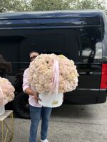Hydrangeas Grand Deluxe Box ready for same-day delivery