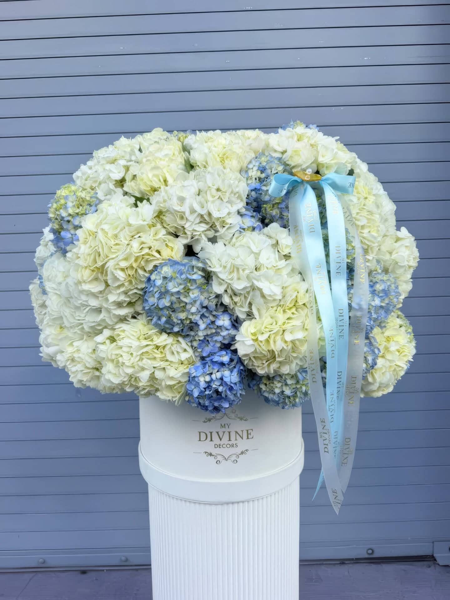 Hydrangeas Grand Deluxe Box White and Blue Hydrangeas Grand Deluxe Box with white and blue hydrangeas