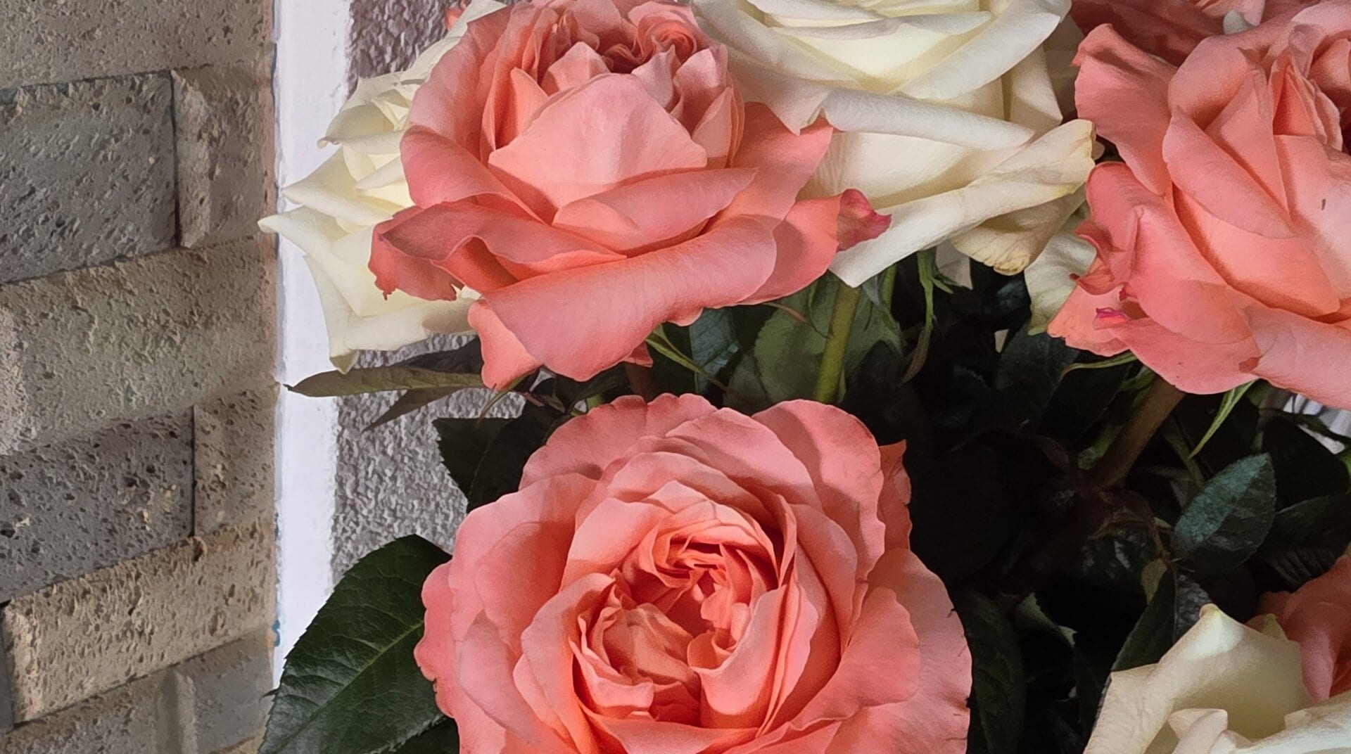 Long-stem peach and white roses from J&M Flowers in Ecuador, photographed during our October 2026 buying trip