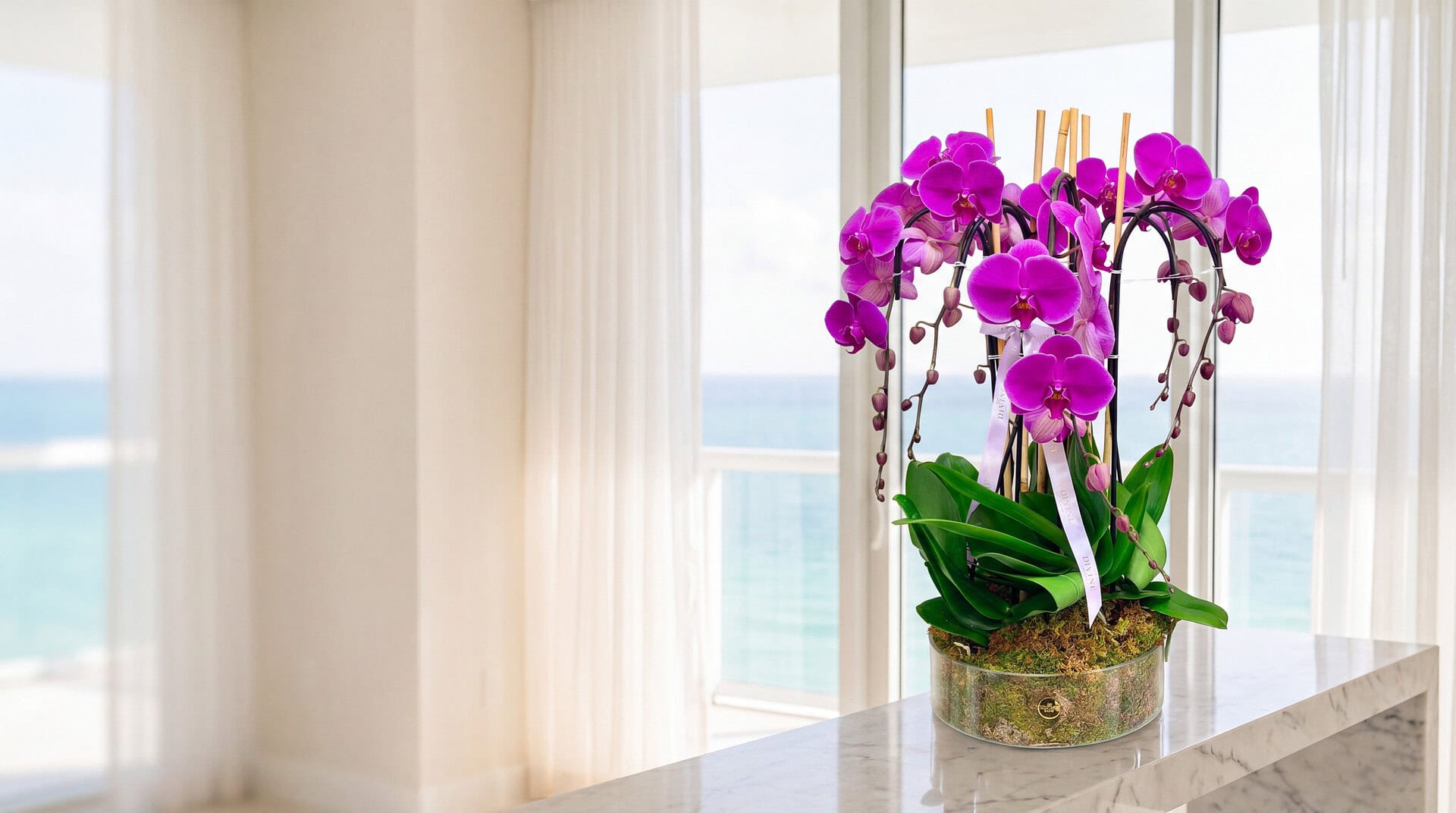 Orchid Couture arrangement of magenta phalaenopsis orchids in a moss-lined glass bowl on a marble console in an oceanfront Miami Beach suite